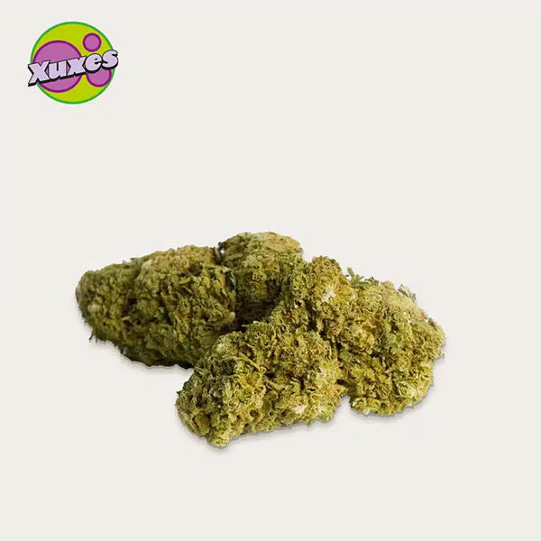 Green Berry CBD > Xuxes | Productos CBD